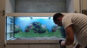 Запуск Juwel Rio 450. Новый дом для Дискусов. Растительный аквариум JBL AquaBasis, Volcano, Monado.