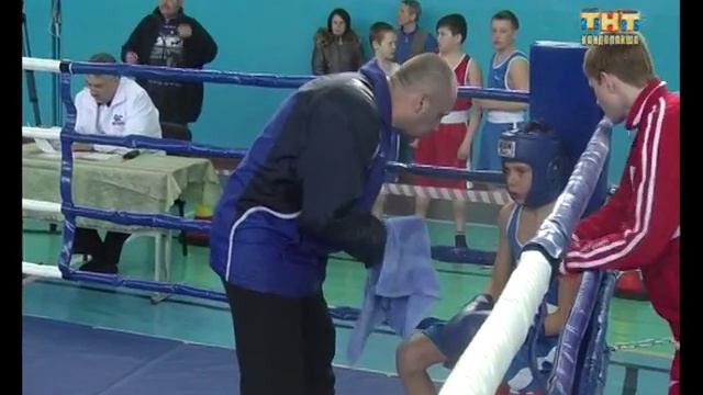 Соревнования по боксу. 22.04.2016 смотреть онлайн
