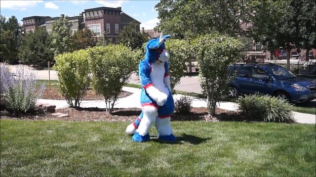 Tag Team Tango 2020 / 1st Place! / Dribi & Raze / Fursuit Dance Duet! // смотреть онлайн