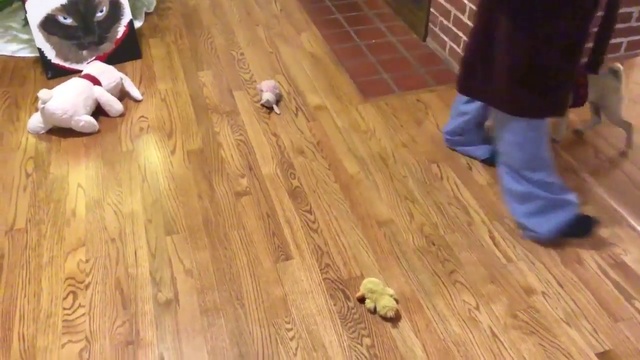 стопроцентная защита смотреть онлайн