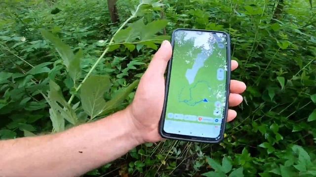 ПВД на заброшенный хутор.Заблудились в лесу.#таруса #погонат#немаугли#туризмтаруса смотреть онлайн