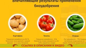 ? БИОГАРД ОТ СОРНЯКОВ ОТЗЫВЫ ПОКУПАТЕЛЕЙ ЦЕНА ⚡ СТОИМОСТЬ ГЕРБИЦИДОВ ?
