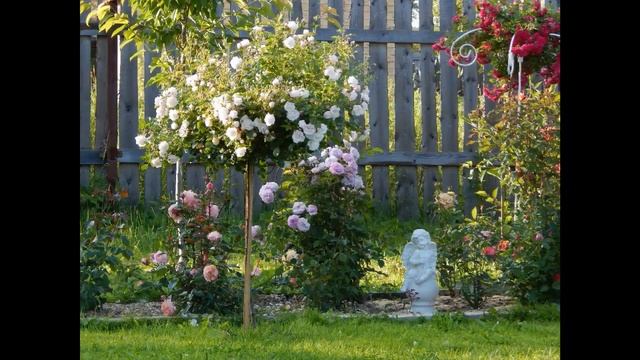 Просто сад, где живут 300 роз смотреть онлайн