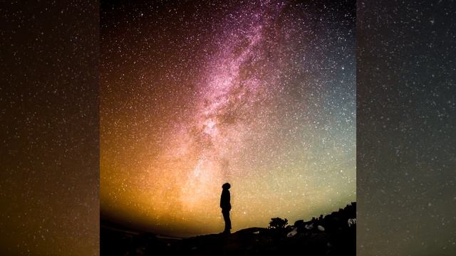 У меня была собака смотреть онлайн