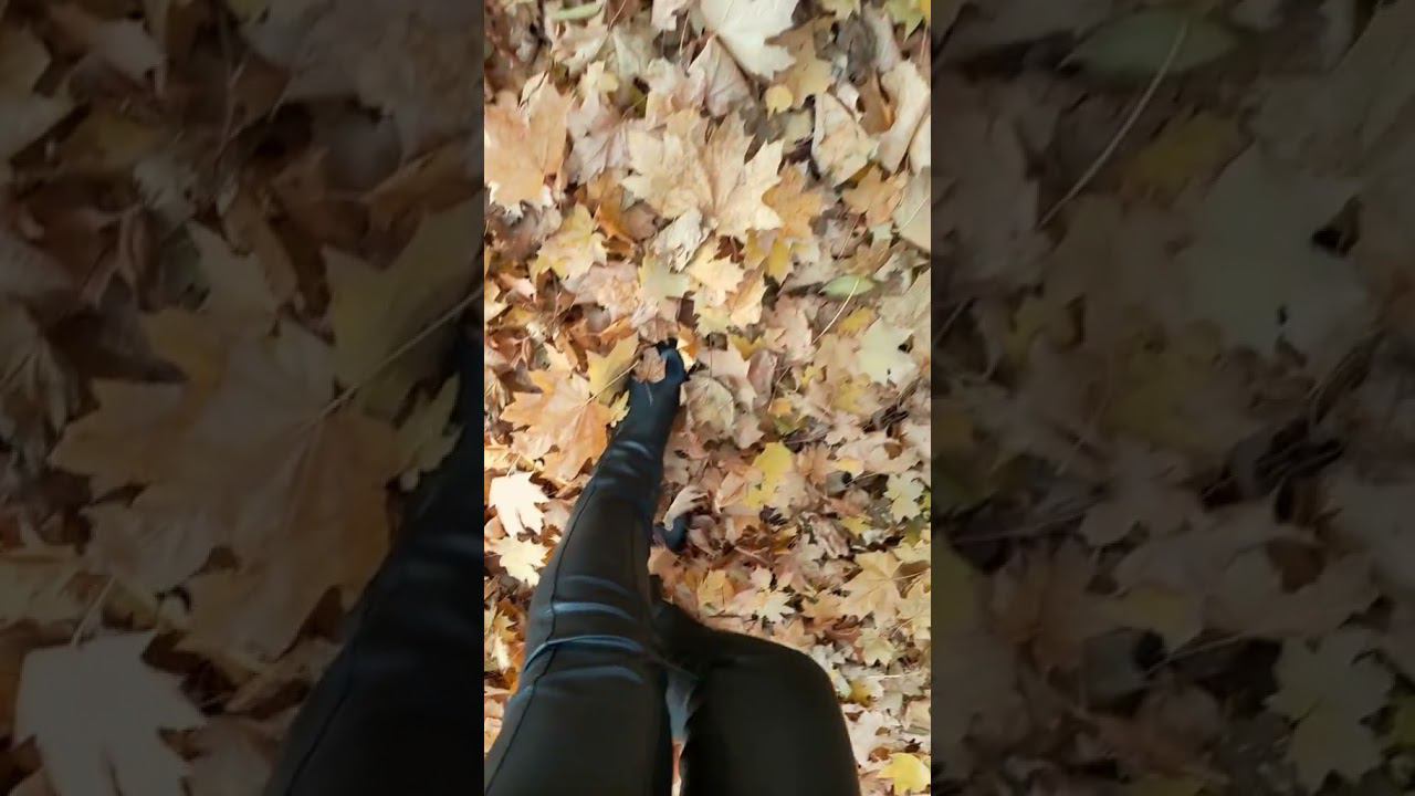 Краски осени. Листопад смотреть онлайн