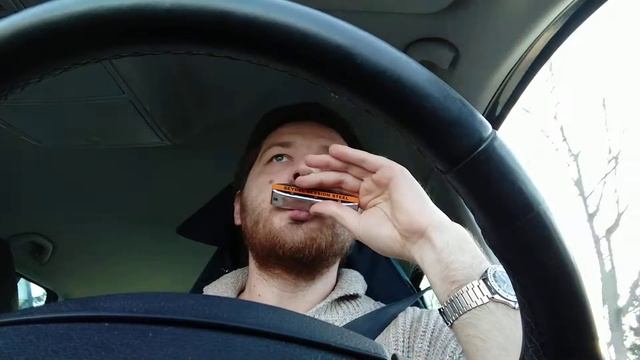 Приходите в гости к нам поскорее ♫ на губной гармошке смотреть онлайн