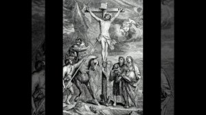 Днесь висит на древе 🕊️