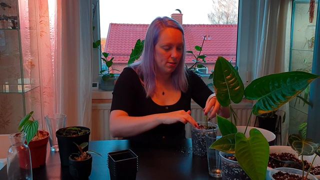 Q&A And Plant With Me | Dec 2020 | Long Time No See