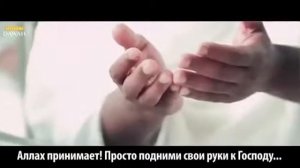 Мансур Ас Салими к Арафату