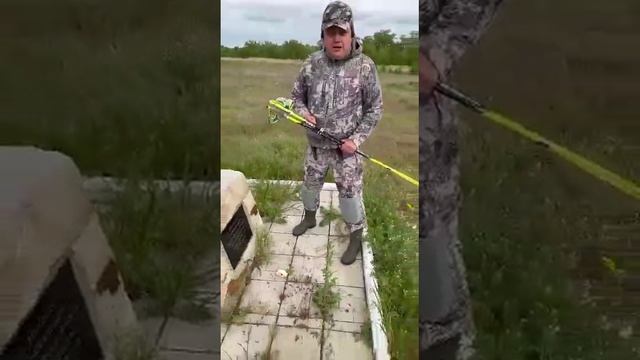 История смотреть онлайн