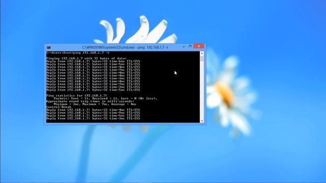 How to Stop Ping in the Terminal смотреть онлайн
