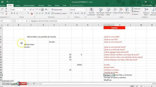 Introducción a Excel 2016 - Pestaña "Inicio" смотреть онлайн