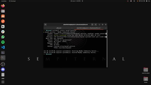 how to check mysql and postgresql service status on ubuntu terminal смотреть онлайн