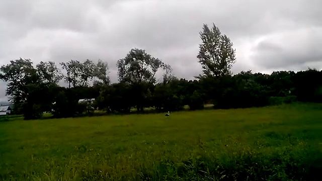 Белый аист. смотреть онлайн