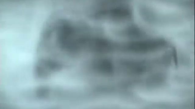 The Hedgehog in the fog. Alternative sound version / Ежик в тумане. Альтернативная звуковая версия смотреть онлайн