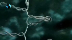 Что такое ДНК? /  What is DNA?