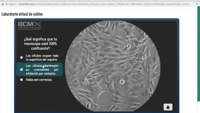 virtual ffyb uba ar mod scorm player php a=56&currentorg=Laboratorio virtual de Cultivo Celular + O смотреть онлайн