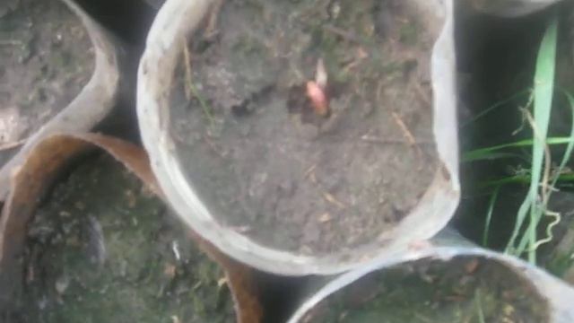 Первый пошёл... смотреть онлайн