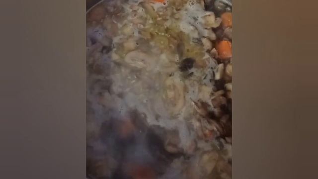 Делаю впервые в жизни суп — пюре: Грибной