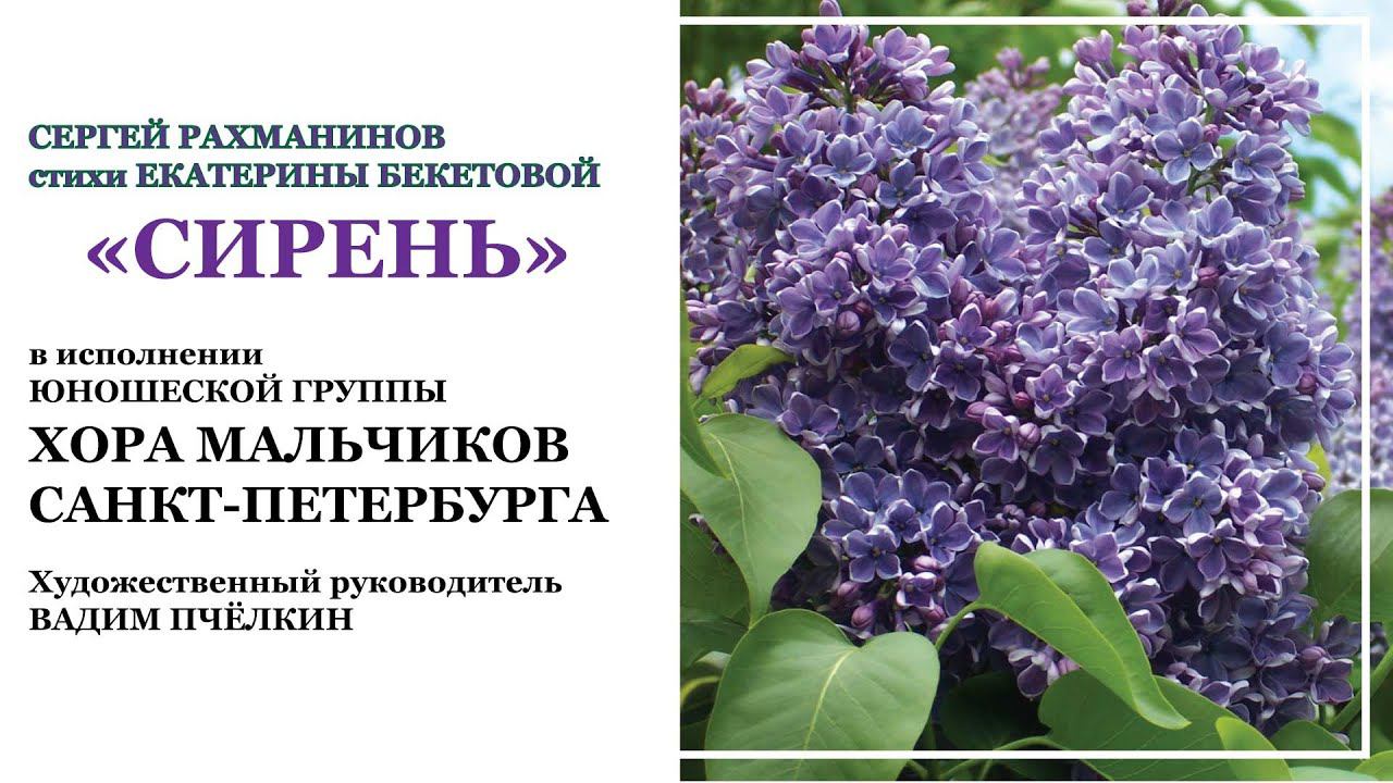 Сергей Рахманинов, стихи Екатерины Бекетовой "Сирень" смотреть онлайн