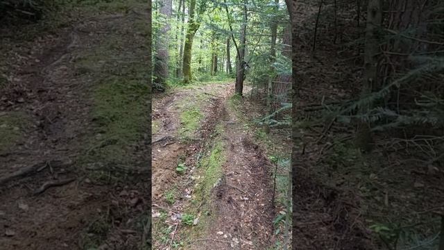 KOVE 500X some offroad action смотреть онлайн