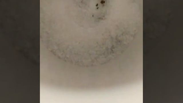 Как приготовить вкусный кофе☕️ смотреть онлайн