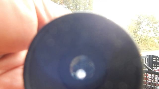 КАК ХРАНИТЬСЯ , ЯГОДА ВИНОГРАДА . смотреть онлайн