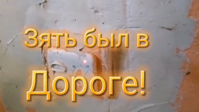 #ЕЙСК, #ДАЧИ ? Тайсон мне, как сын! Купила плитку! Подготовка к дальнейшему ремонту. Ну и другое! смотреть онлайн