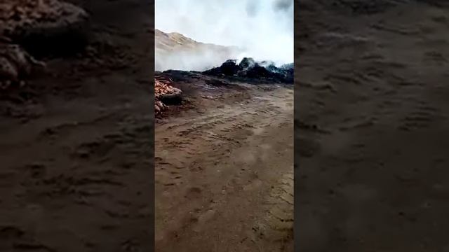 Вот что твориться в белой калитве и никому нет дела чем мы дишим смотреть онлайн