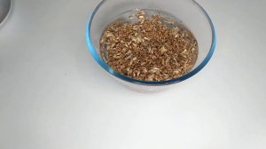 О ПРОРОСШЕЙ ПШЕНИЦЕ: польза, как прорастить, где купить, как вырастить зелень из пшеницы.