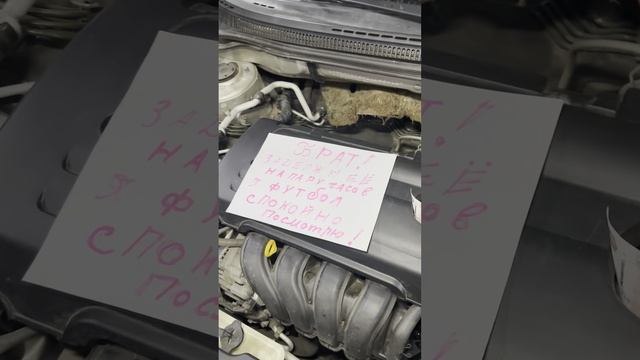 Мужская солидарность