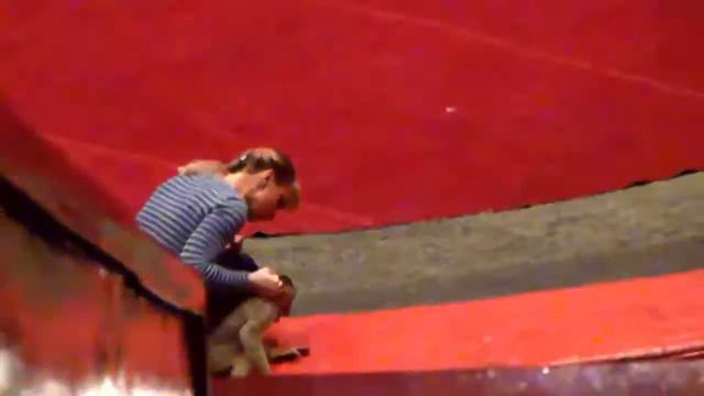 Цирк концлагерь для животных За кулисами цирка 2 Дрессировщики Большого Московского цирка, Цирка смотреть онлайн