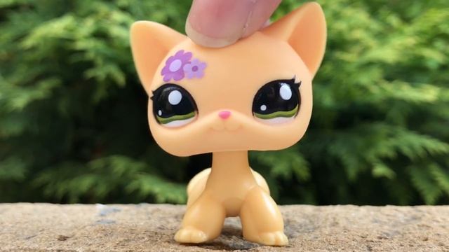 LPS: КУПИЛА СВОЮ МЕЧТУ! ? смотреть онлайн