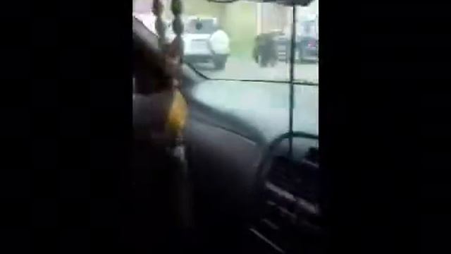 Медведь в центре города смотреть онлайн