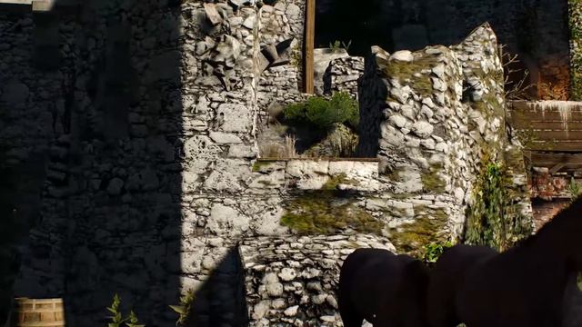 The Witcher 3. Цири в Каэр Морхене.