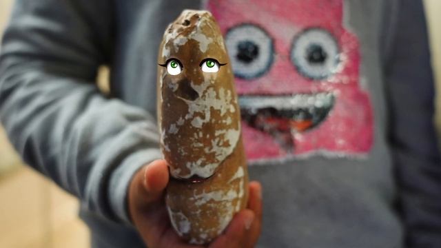 Smart Museum TV Im Naturkundemuseum Im Ottoneum Der Stadt Kassel 2019