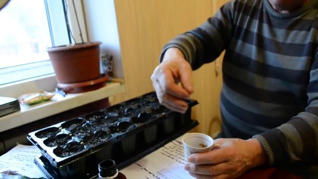 Анимационные Фильмы для Детей и Взрослых