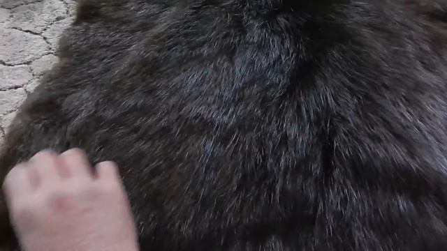 Шкуры бобра вычиненные смотреть онлайн