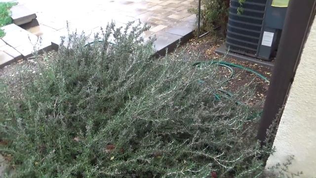 Подсчитываем убытки - ураган с разрушениями и затоплениями смотреть онлайн