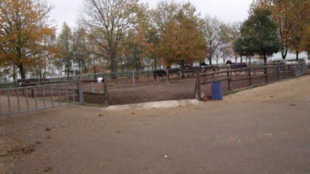 Klassenreise 2009 382.avi смотреть онлайн