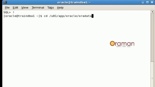 how to do rman backup and recovery смотреть онлайн