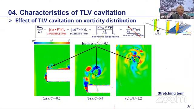 Numerical and experimental study of the Tip-Leakage Cavitating Flow and its Control (Bin Ji) смотреть онлайн