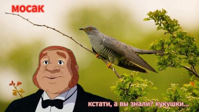 кстати, а вы знали кукушки смотреть онлайн