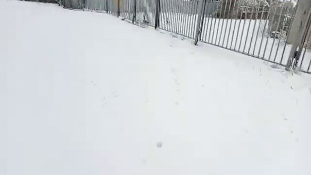 Деревни Северного Казахстана 2019: Белое смотреть онлайн