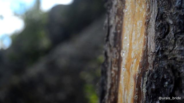 Гора Малиновая/Моя Башкирия (Белорецкий район) смотреть онлайн