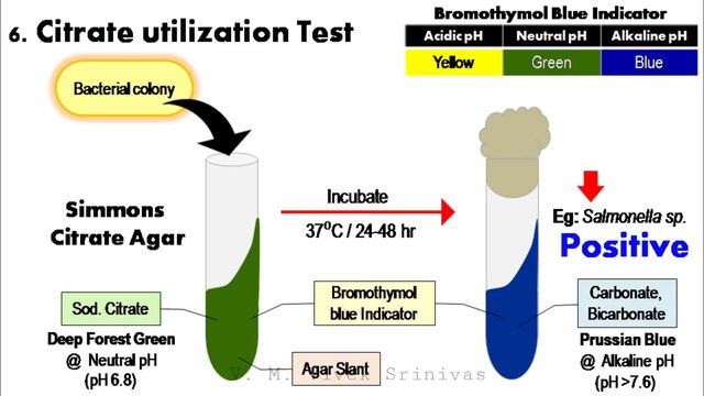 BIOCHEMICAL TEST | Bacterial Identification Technique | Microbiology | Vivek Srinivas |#Bacteriolog