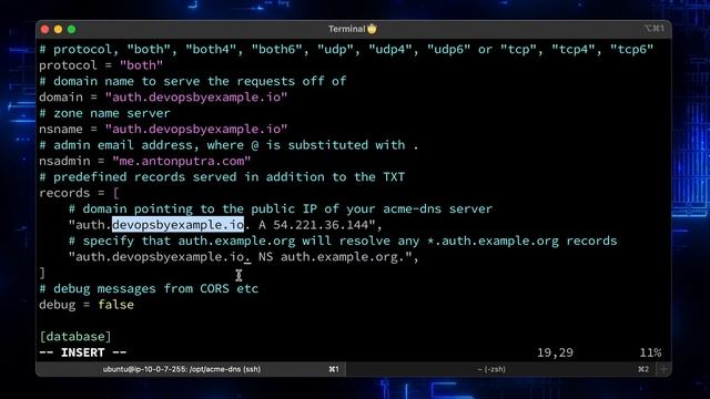 How To Setup Auto-Renew For Letsencrypt WILDCARD Certificate With DNS Challenge? Acme-dns | Certbot