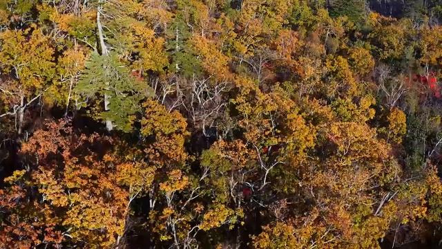 Ambient Study Music To Concentrate - Music For Studying, Concentration And Memory #704