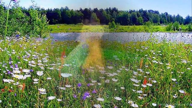 романс смотреть онлайн
