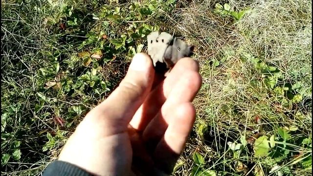 Нашел древнюю монету на выбитом поле. смотреть онлайн